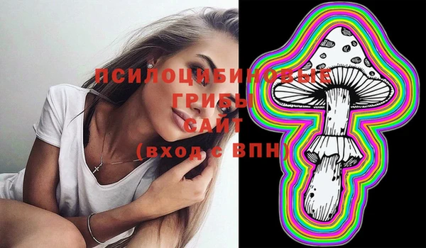 дмт Балахна