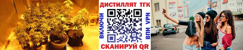 блэк спрут   сколько стоит  Плавск  ТГК Wax 
