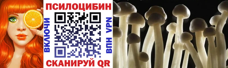 Галлюциногенные грибы мицелий  Плавск 